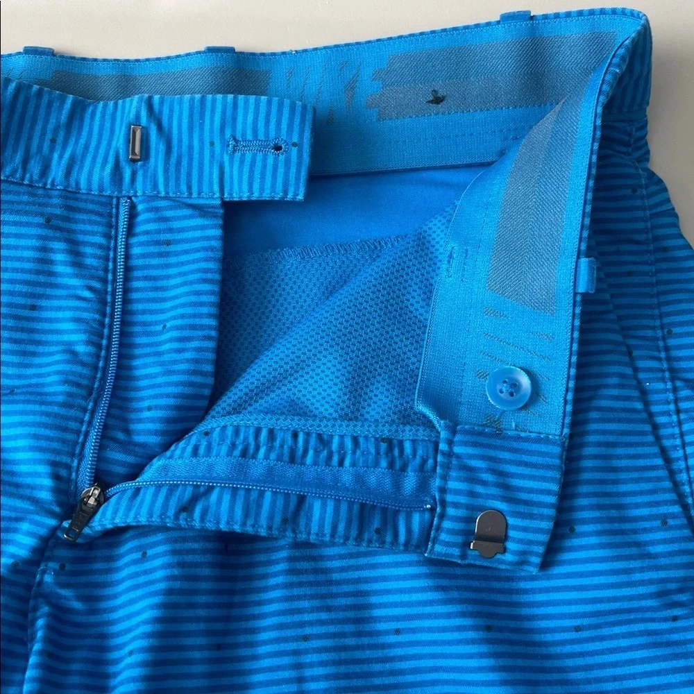 Nike Flex Golf/Casual Shorts Blue Stripe Size 30